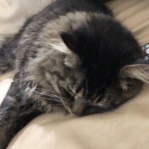 Meet your Posher, Susana